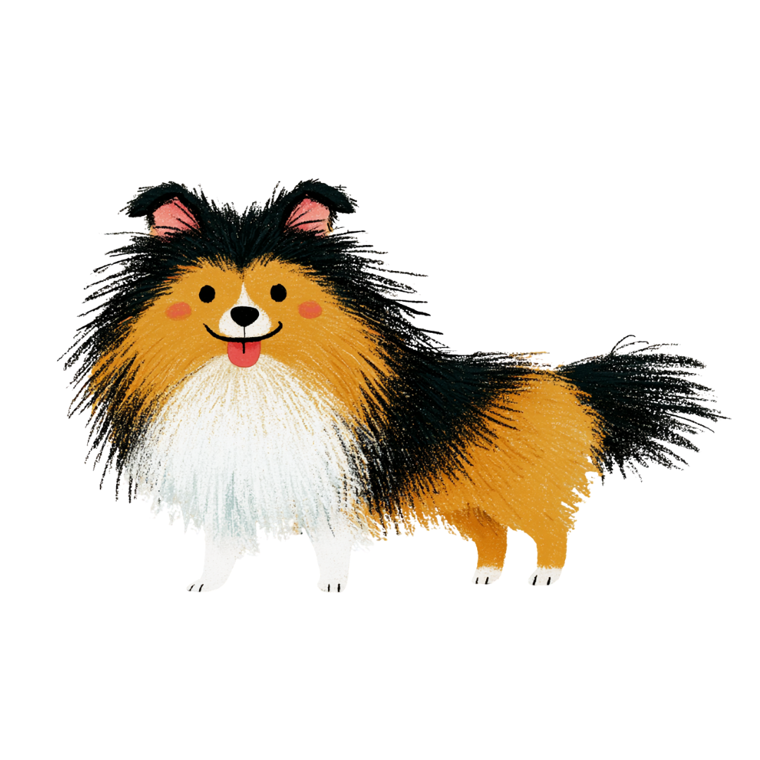 シェットランドシープドッグのイラスト