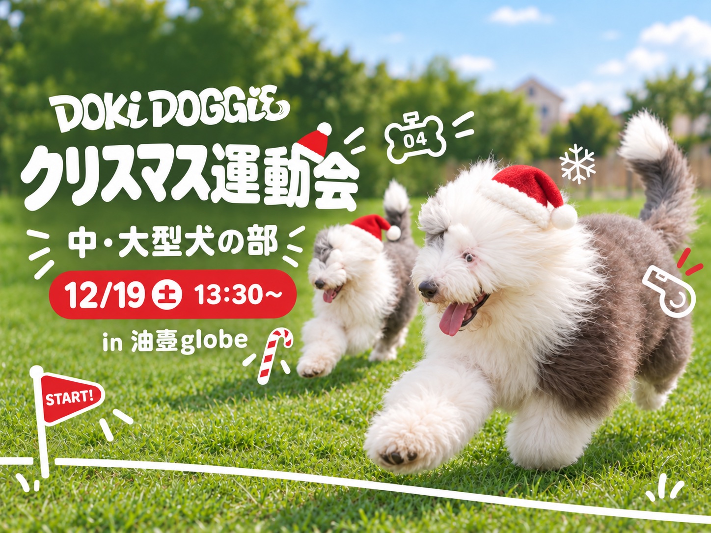 油壺globeのクリスマス運動会(中・大型犬の部)