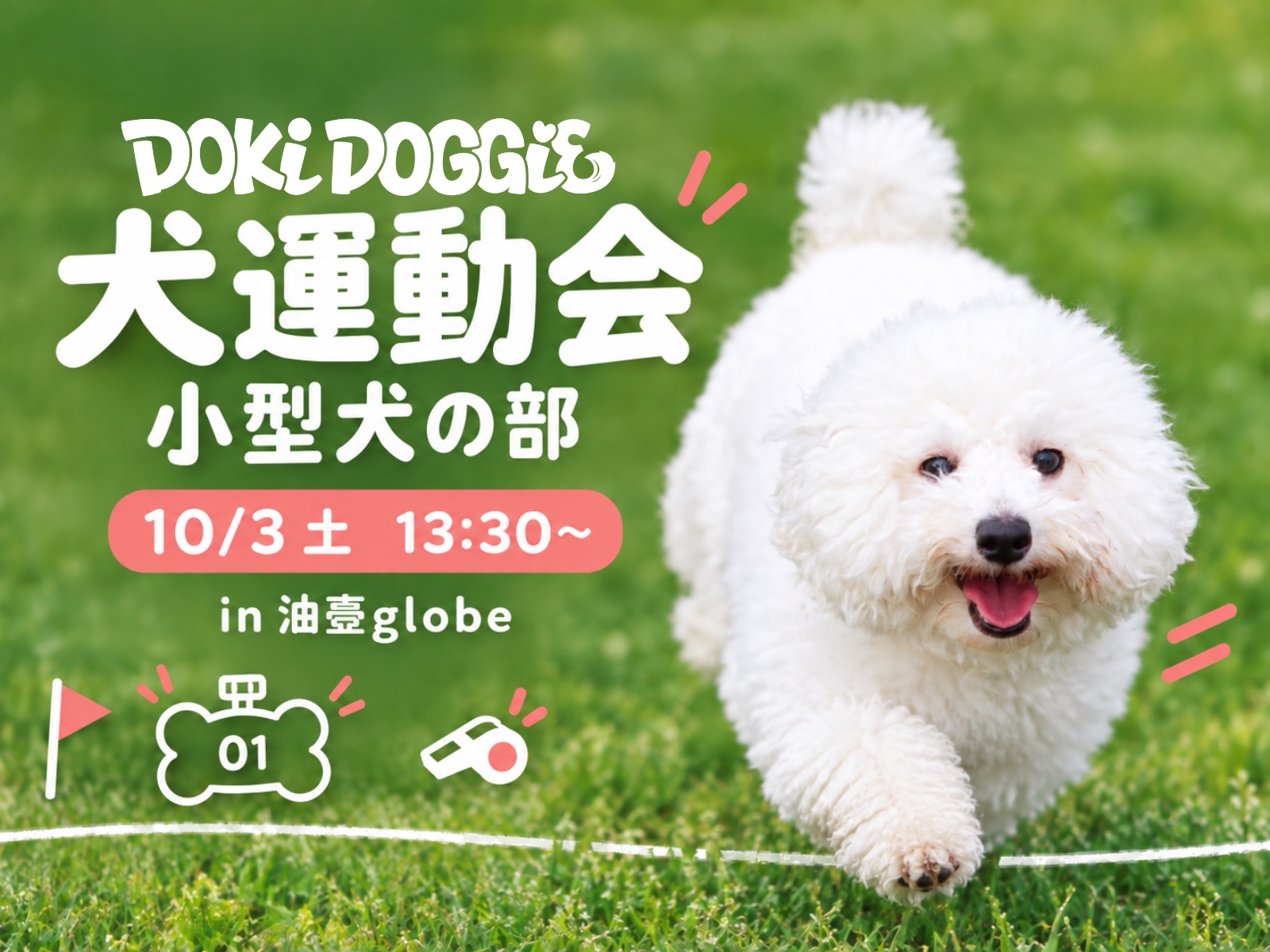 油壺globeの犬運動会(小型犬の部)