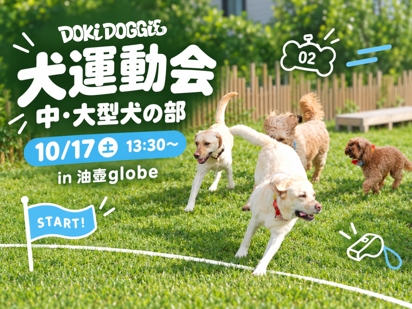 油壺globeの犬運動会(中・大型犬の部)