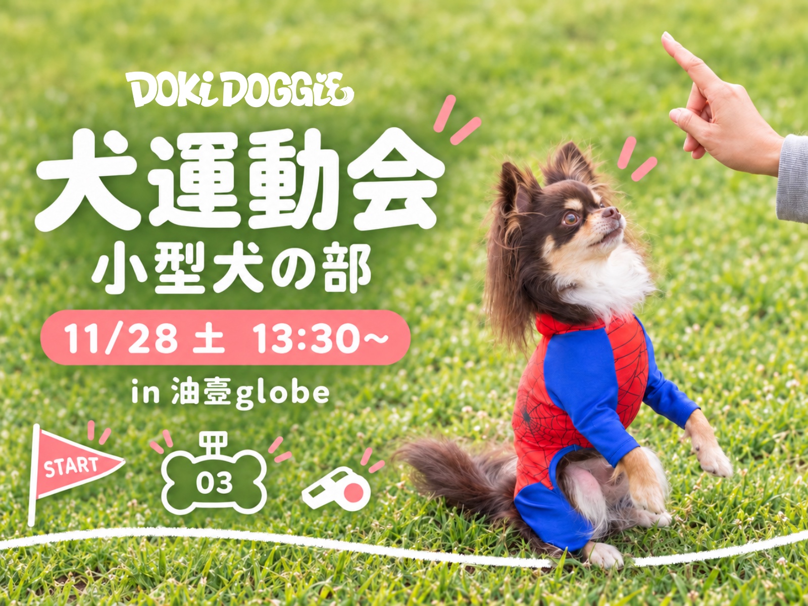 油壺globeの犬運動会(小型犬の部)