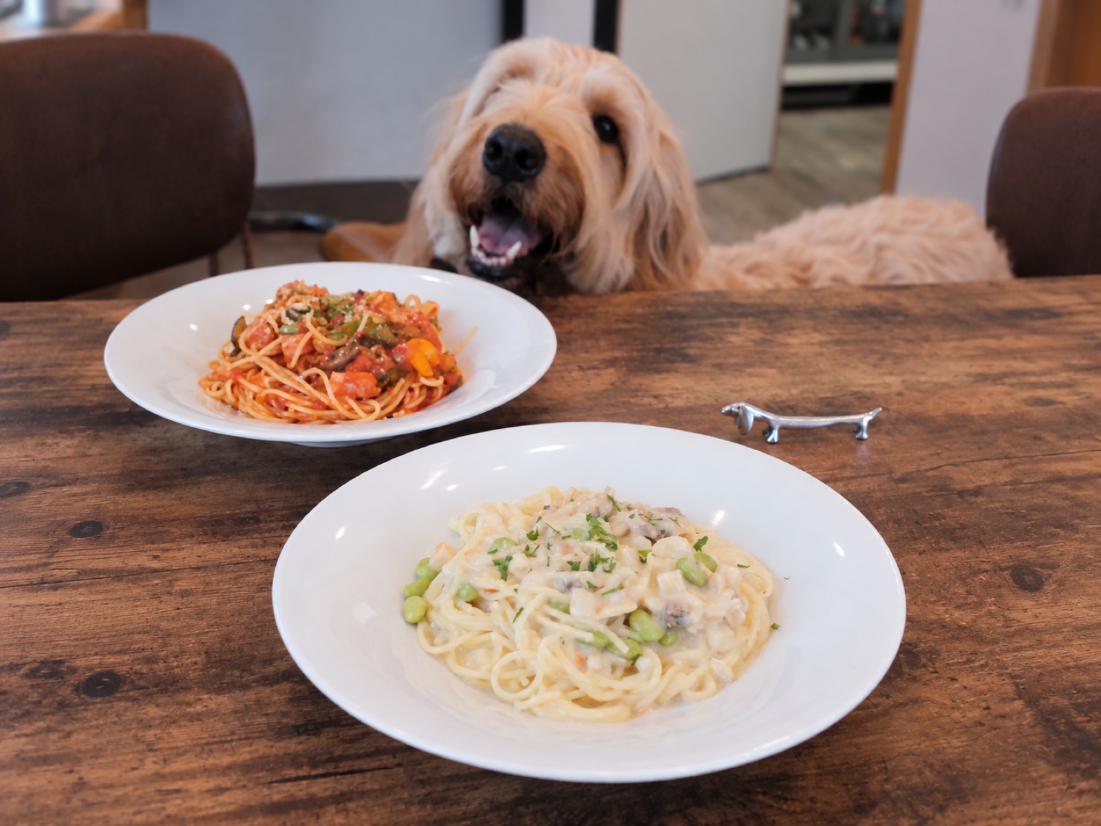 愛犬と一緒に楽しむ油壺globeのランチ