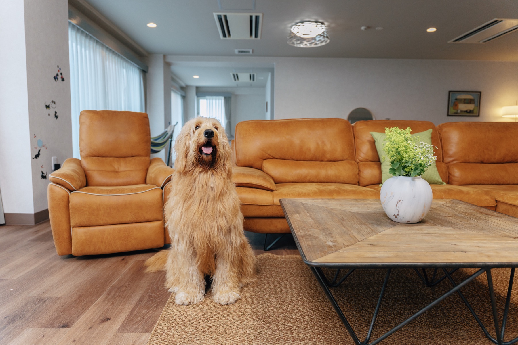 客室でくつろぐ愛犬