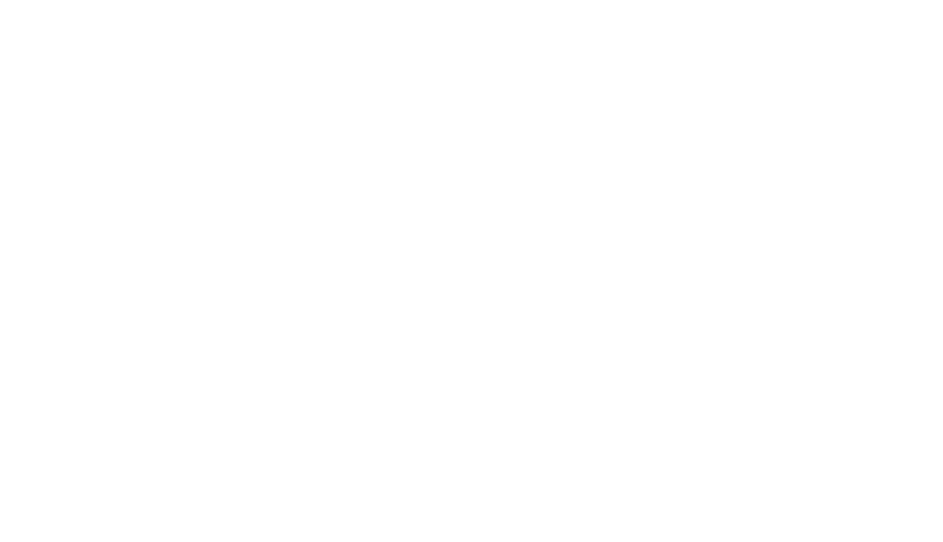 Doki Doggie