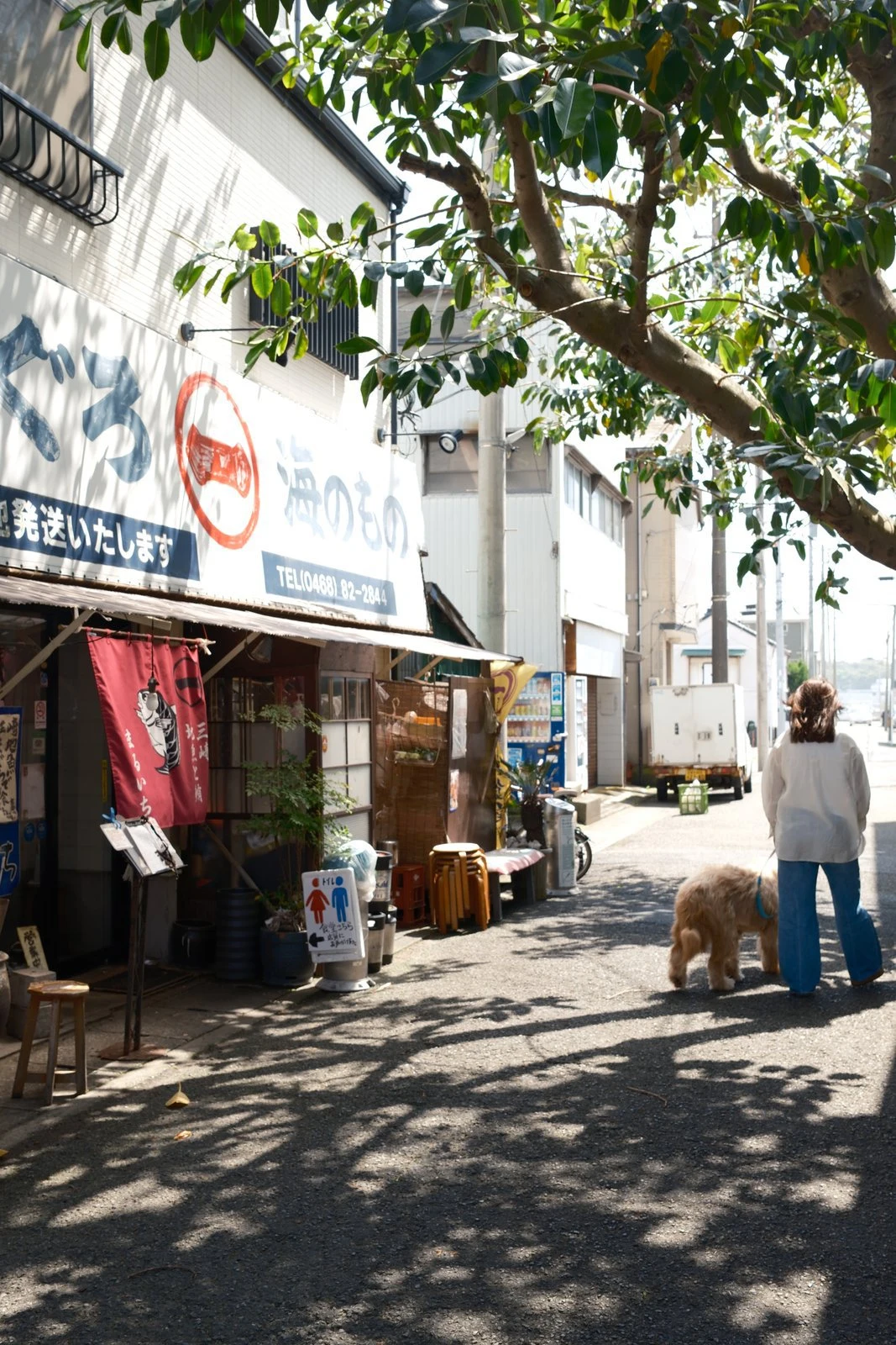 愛犬と三崎下町の商店街を歩く