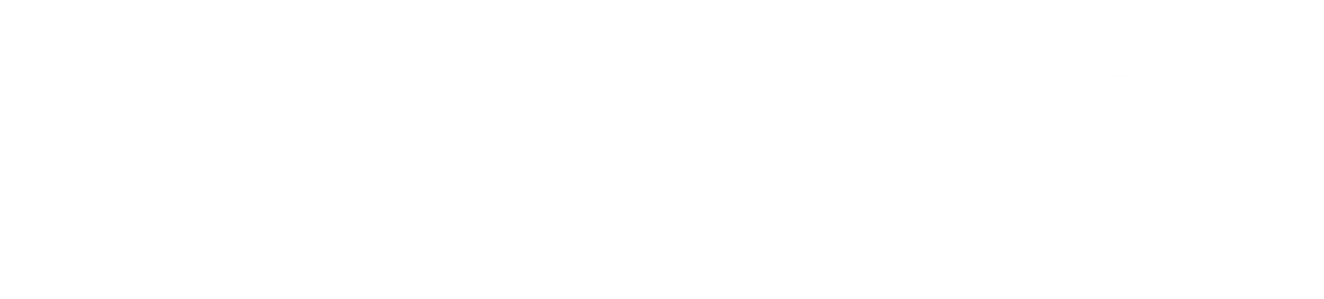 DokiDoggie